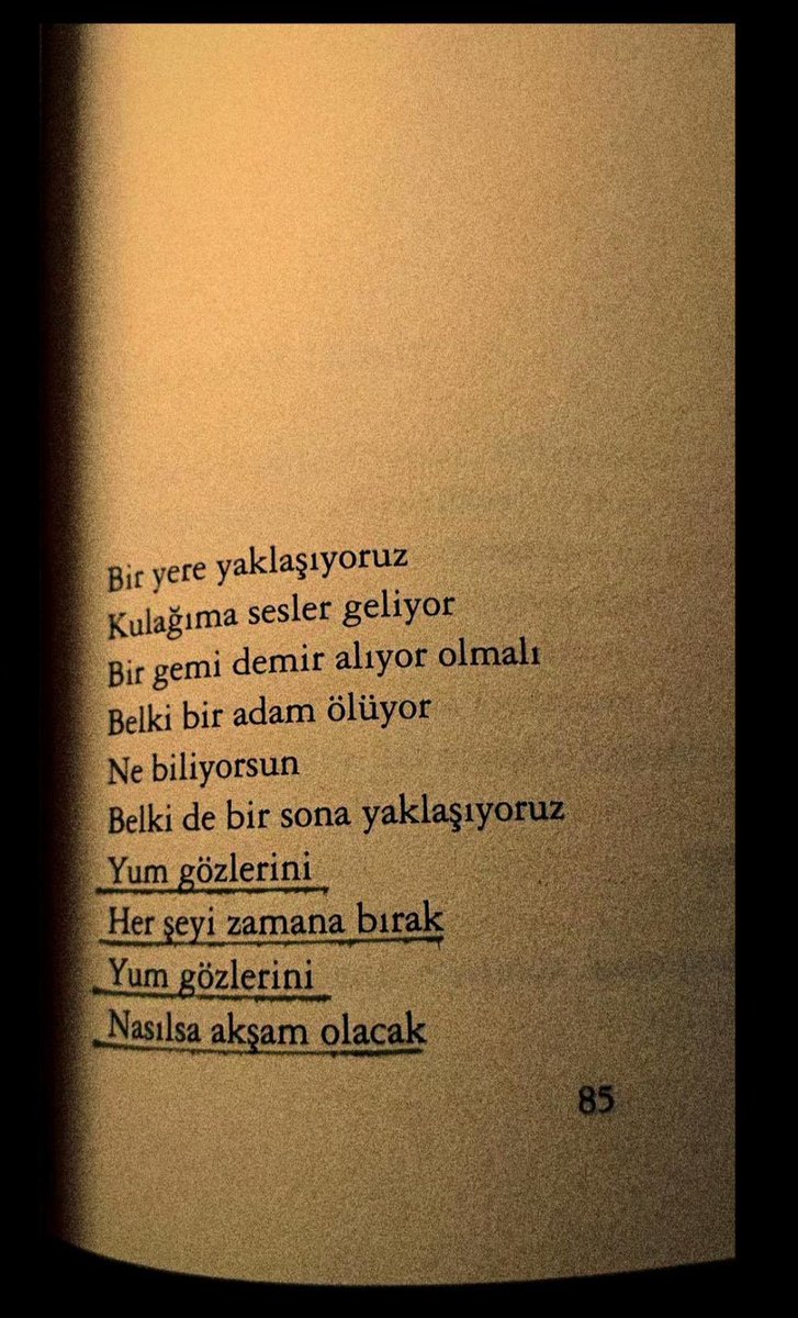 TuttuBerkant's tweet photo. https://t.co/4BeKcR2LcI