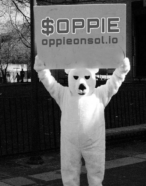 OPPIE🐱 tweet media