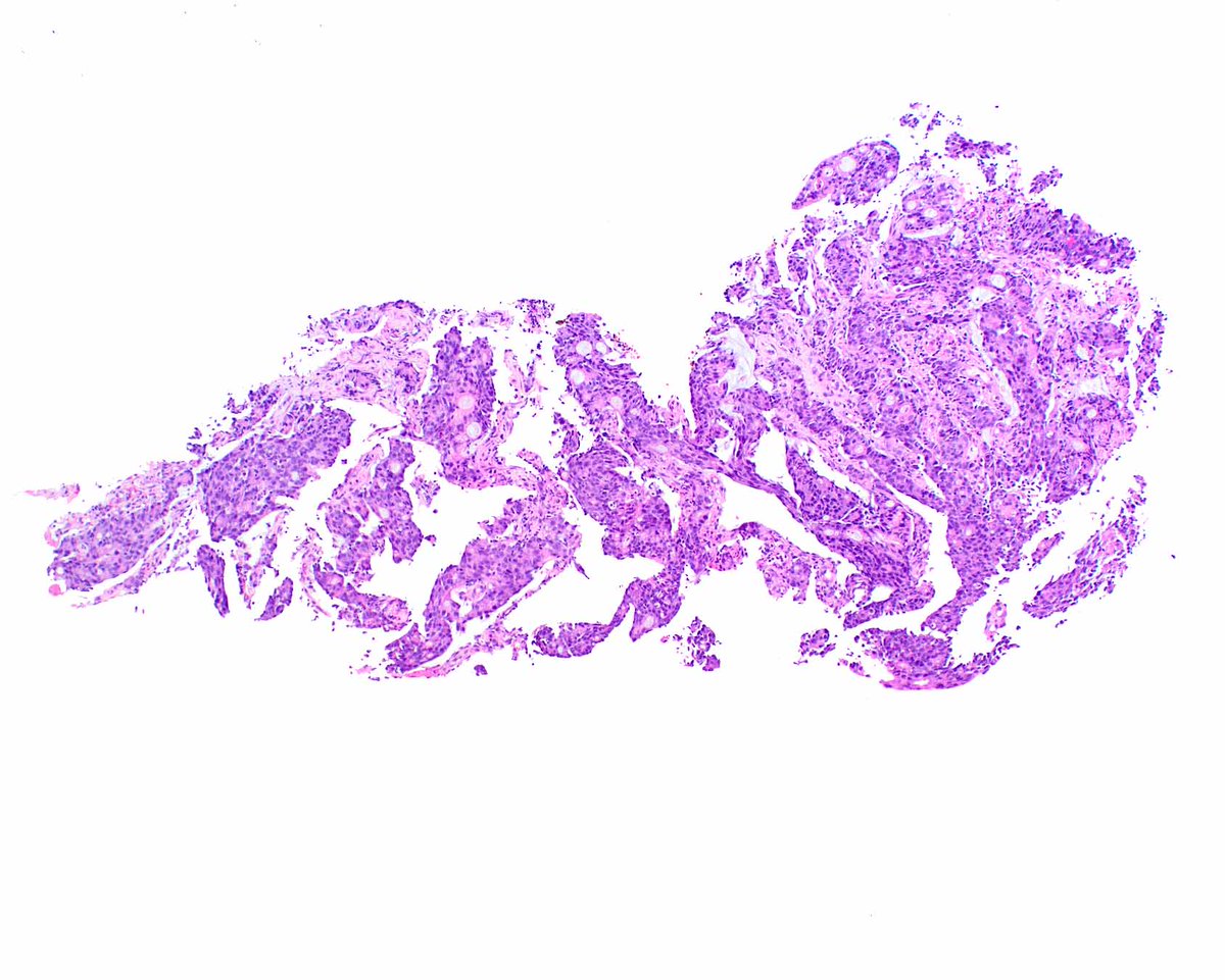 Innovative Science Press tweet media