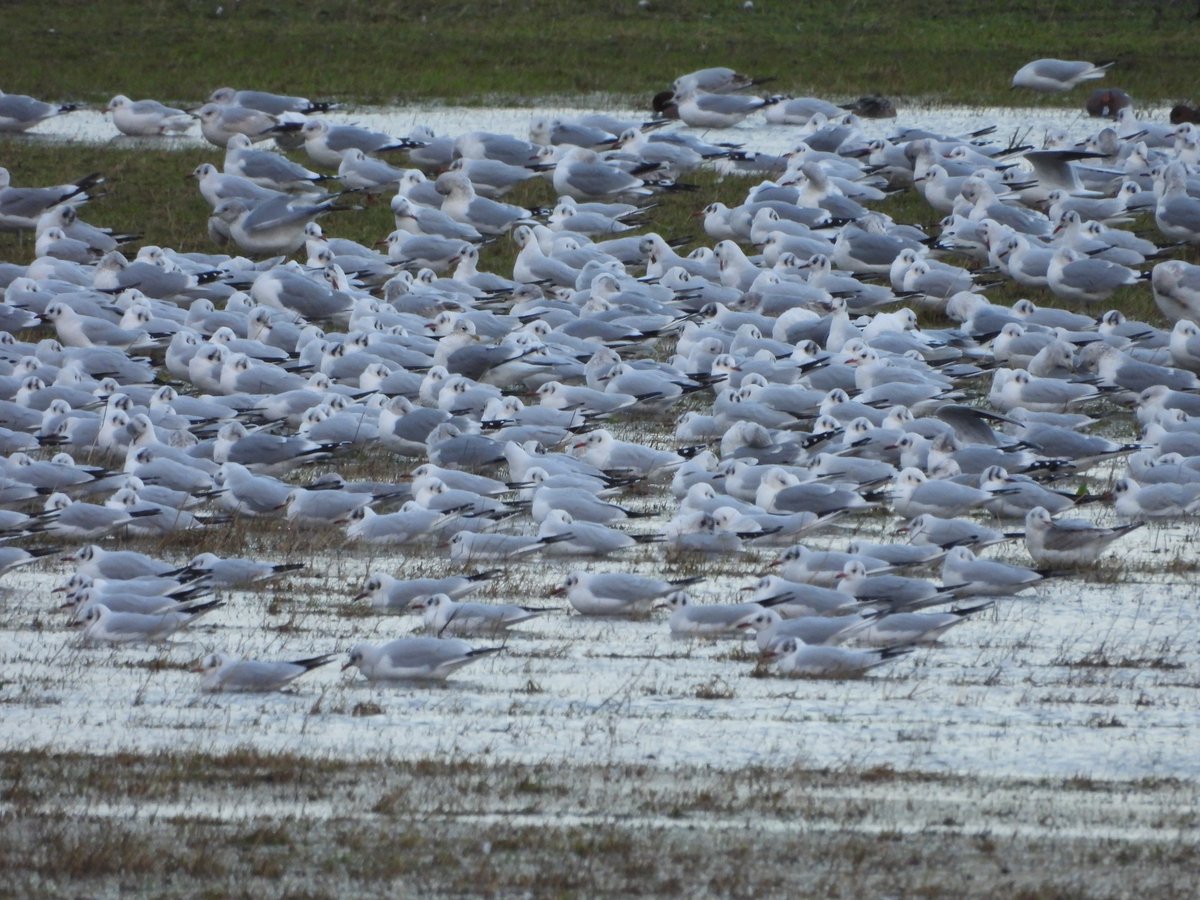 Duncan Bye tweet media