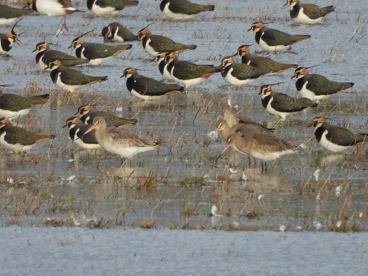 Duncan Bye tweet media