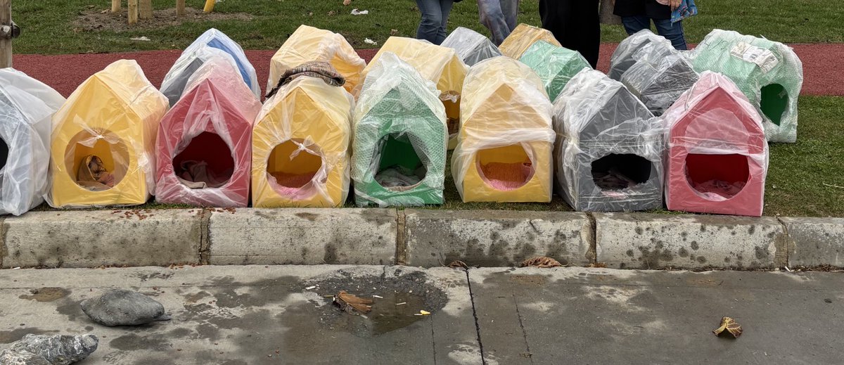Bir süredir sahil kenarlarına kedi evi yapmak istiyordum. 20 tane temin ettik; güzelce sardık, uçmayacak şekilde yerleştirip bağladık. Kediler hemen içlerine doluştu, o kadar mutlu oldular ki…

Bu havalarda güvende değiller. Bir kişi bile görüp heves eder diye paylaşmak istedim.