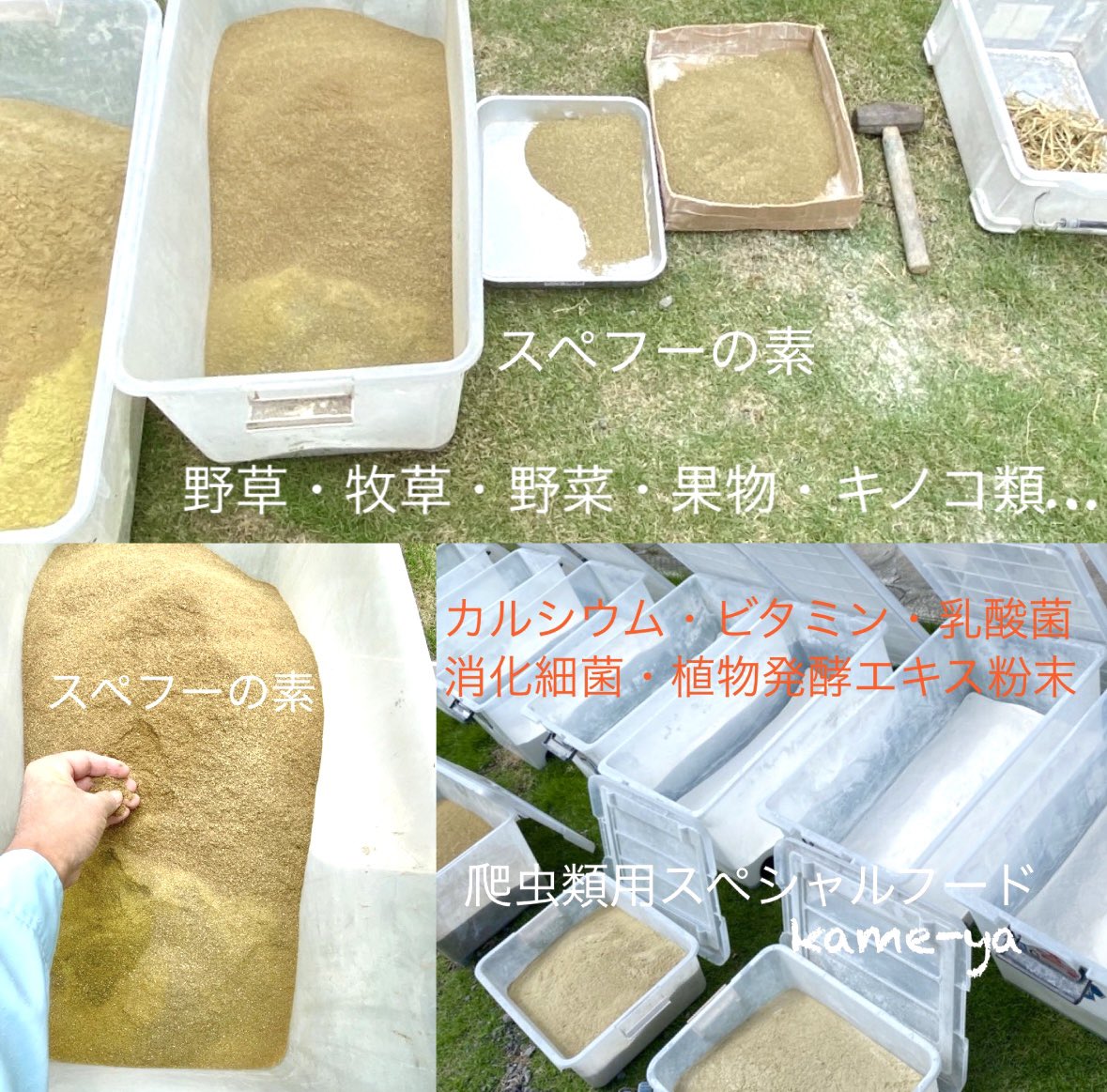 kame-yaナオ tweet media