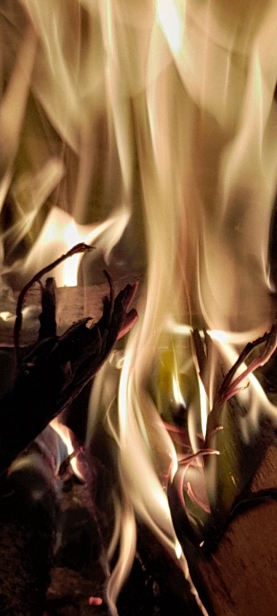 Som natura
Defensar-la és estimar
Foc a tots els qui ens robin, destrossin... les terres, l'aigua, l'aire 

No deixeu d brillar... 
Bon solstici
Salut! 💜