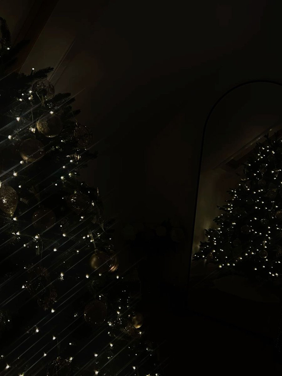 Finally got the tree up, really really late.