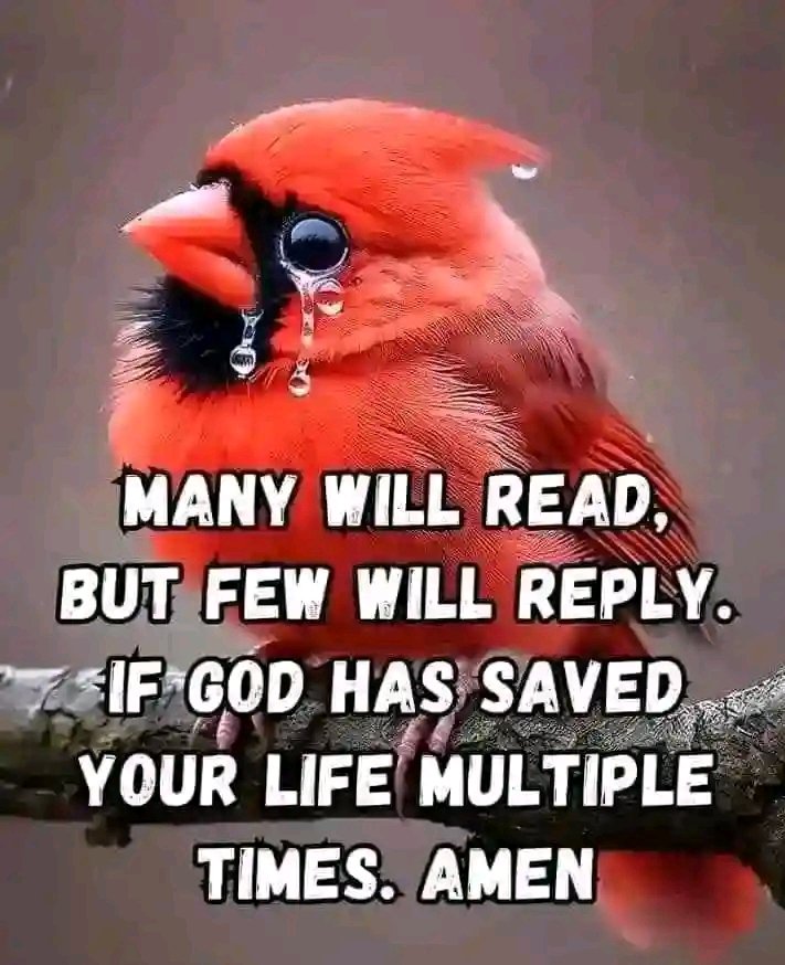 Daniel Titus (The Preacher) tweet media