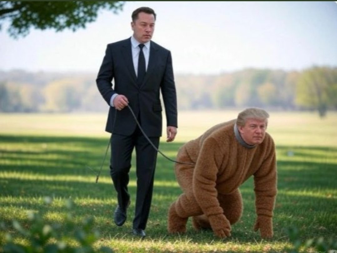 That dog don't hunt