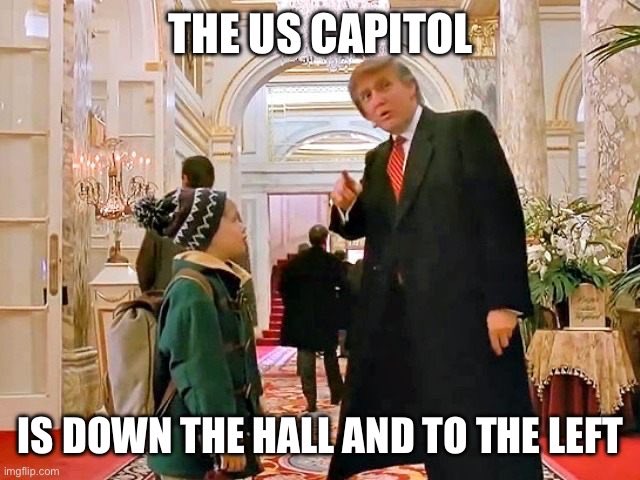 _schnit's tweet image. 