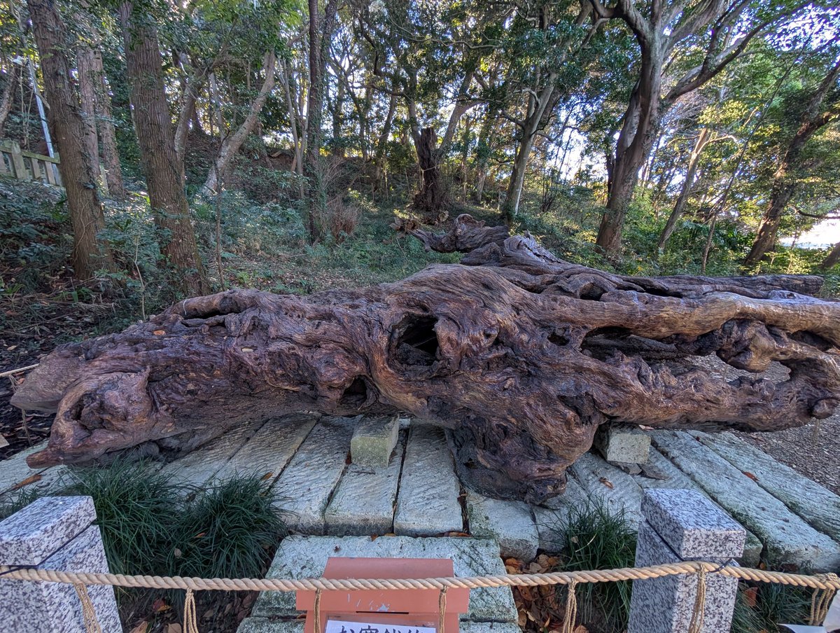 おはようございます
😸🤭😺
日曜日ですっ🎉
相変わらず寒いので
身体温めて元気に飛び出していきましょう

行ってきまーす
いってらっしゃーい👋

キャー(≧▽≦)