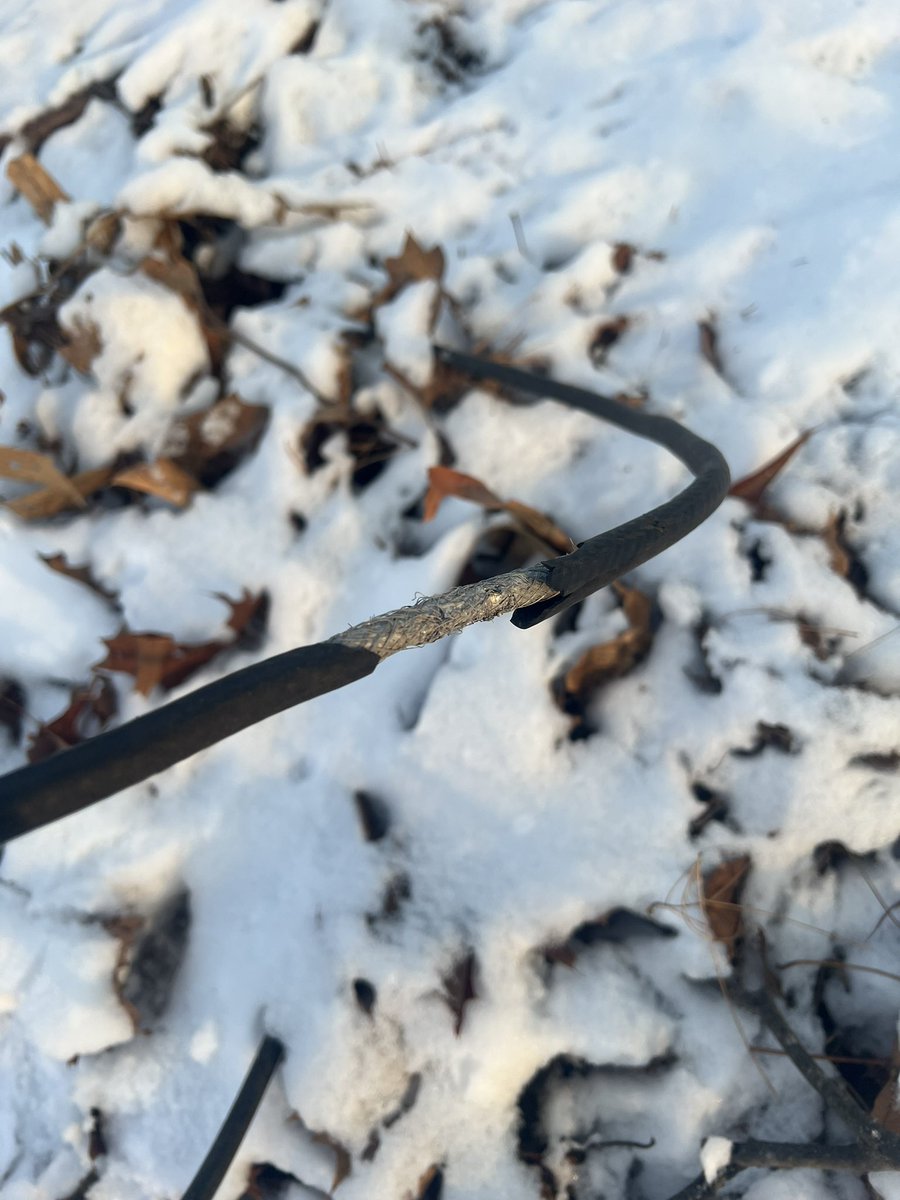 nirajap's tweet image. looking to invest in a startup that’s protecting our critical infrastructure from squirrels…who is building this