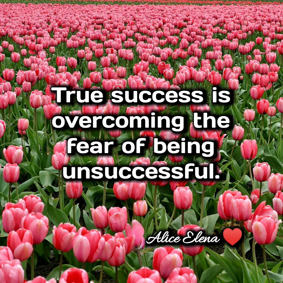 Good Night Friends ❤️ 
Sleep Well 😊✨

Keep it in mind 👇