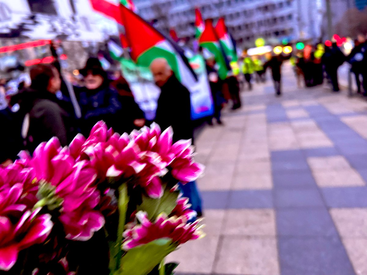 PreislerKa's tweet image. Gute Nacht 😘, die schönen Blumen von der freundlichen Passantin kommen ins Wasser und ich jetzt nach Hause. #b2112
Die Geiseln haben keine freundlichen Menschen um sich, keine Geborgenheit und keine Blumen. Sie müssen endlich nach Hause kommen. #BringThemAllHomeNow 
Bis bald! 🤗