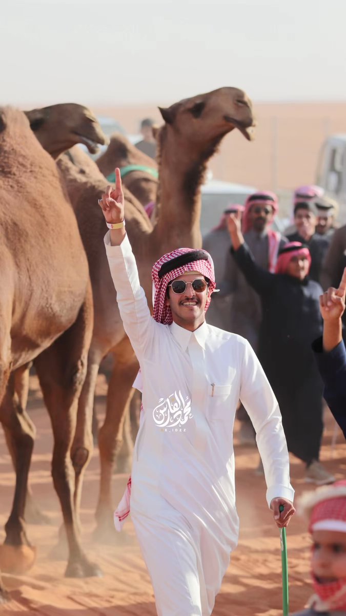 X_IDZZ's tweet photo. مشاركتي من تصوير لـ #سمو_الشعل 
للمالك : مشعل بن جدعان الزيادي
#مهيوبات_الشعل 
#مهرجان_الملك_عبدالعزيز_للابل9 #جائزة_الملك_عبدالعزيز_للابل9
 #عام_الابل_2024
@mishal_jad3an https://t.co/WN7GBvq8ti