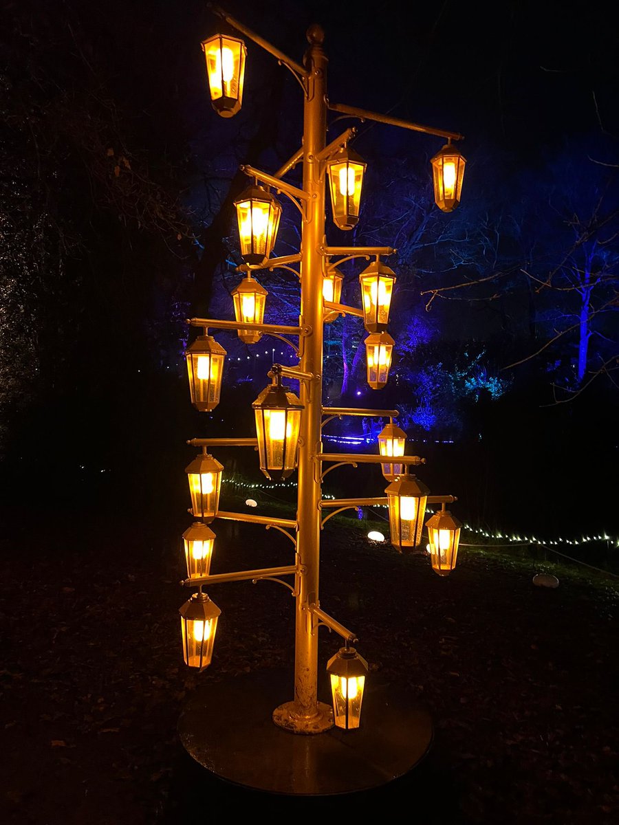 <a href="/LightsLeeds/">Northern Lights</a> 🥶☔️💡🌲