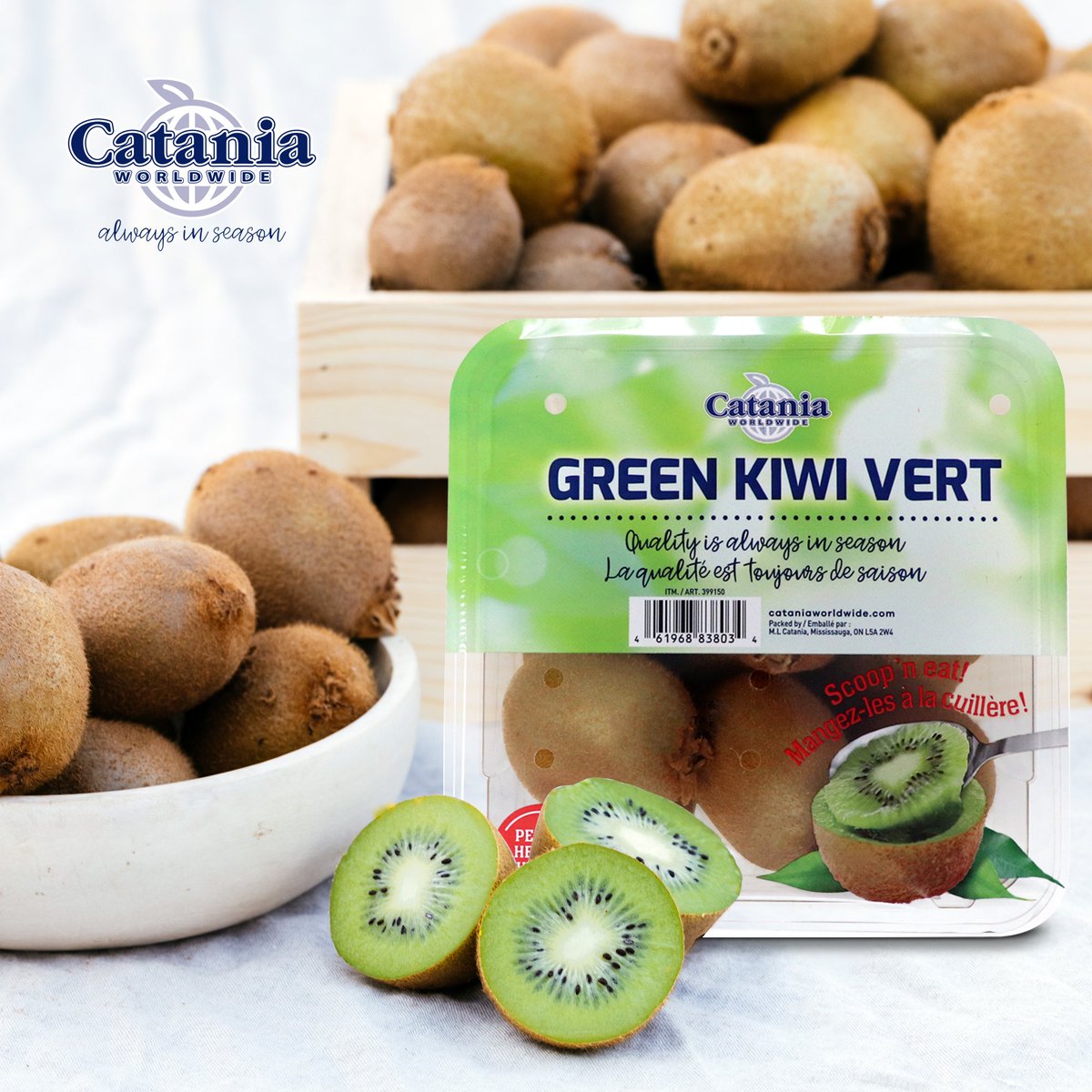 Cataniaww's tweet photo. It's #NationalKiwiDay! 🥝 Celebrate the vibrant freshness of Catania kiwis. Grown with love on our very own ranch in California, we're here to meet all your kiwi cravings. Enjoy the best, straight from our fields to your table! 💚 

#CataniaWorldwide #AlwaysinSeason #kiwifruit https://t.co/NLFz3cr6AZ