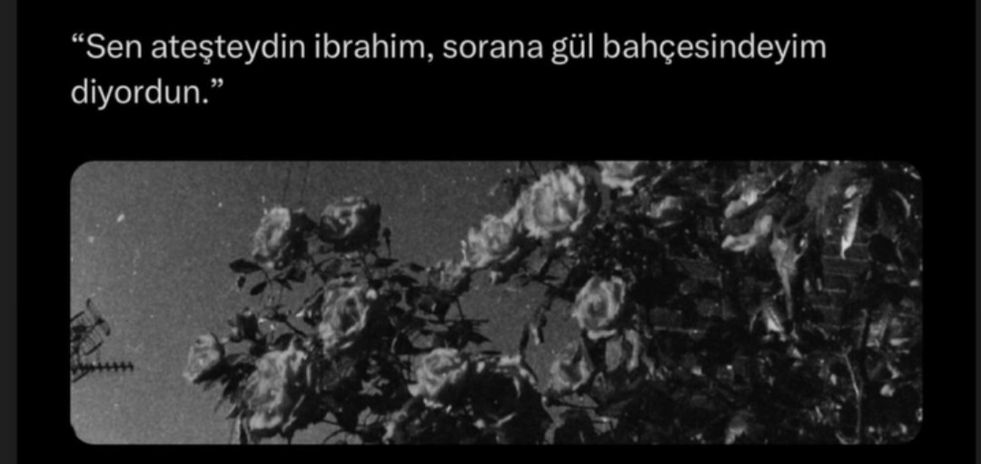 Özlm avsr (@zlemavar65826) on Twitter photo 