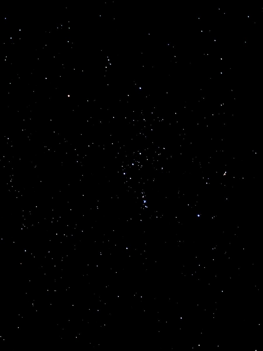 ogperception's tweet image. #Orion