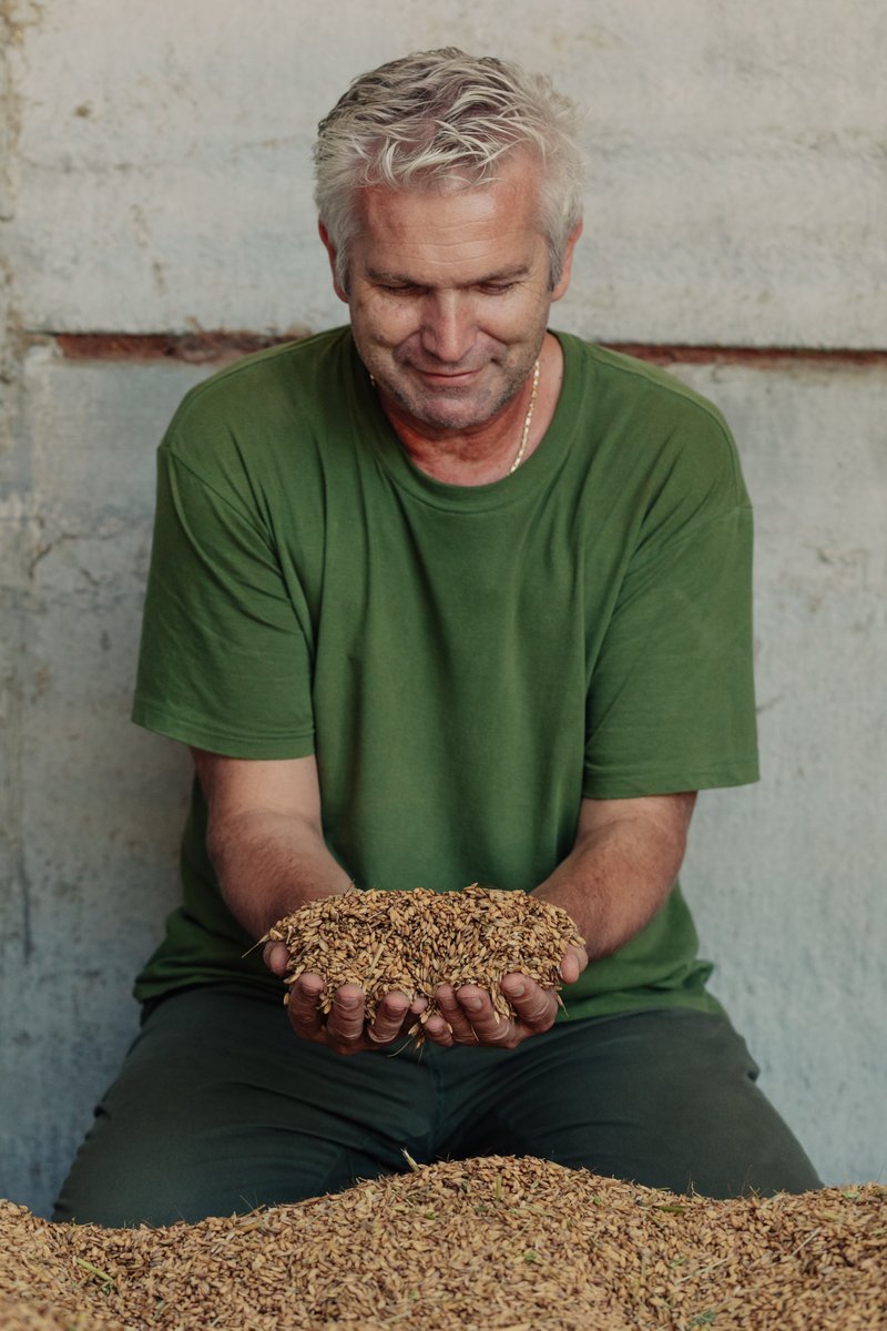 Il nostro riso proviene esclusivamente da coltivazioni di nostra produzione, controllate costantemente da Dino Massignani. Questo ci permette di mantenere elevati standard di qualità e sostenibilità.
Sceglierci significa scegliere un prodotto autentico #carnaroli