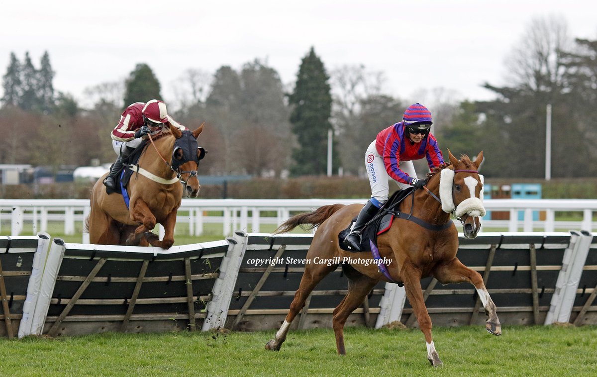 Steven Cargill (@steven_cargill) on Twitter photo 13th start, 1st win for 5yo g THANK YOU MA'AM (Black Sam Bellamy) <a href="/NichollsOlive/">Olive Nicholls</a> in 24f novices handicap hurdle <a href="/Ascot/">Ascot Racecourse</a> today for trainer Georgina Nicholls. 13th start, 1st win for 5yo g THANK YOU MA'AM (Black Sam Bellamy) <a href="/NichollsOlive/">Olive Nicholls</a> in 24f novices handicap hurdle <a href="/Ascot/">Ascot Racecourse</a> today for trainer Georgina Nicholls.