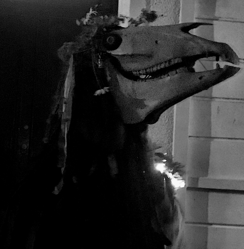 HooklandGuide's tweet image. The year is on its knees, waiting for the blade of ice. We roast ale. We roast cider. Rough music fills the air. The Bone Horse dances the night #WinterSolstice