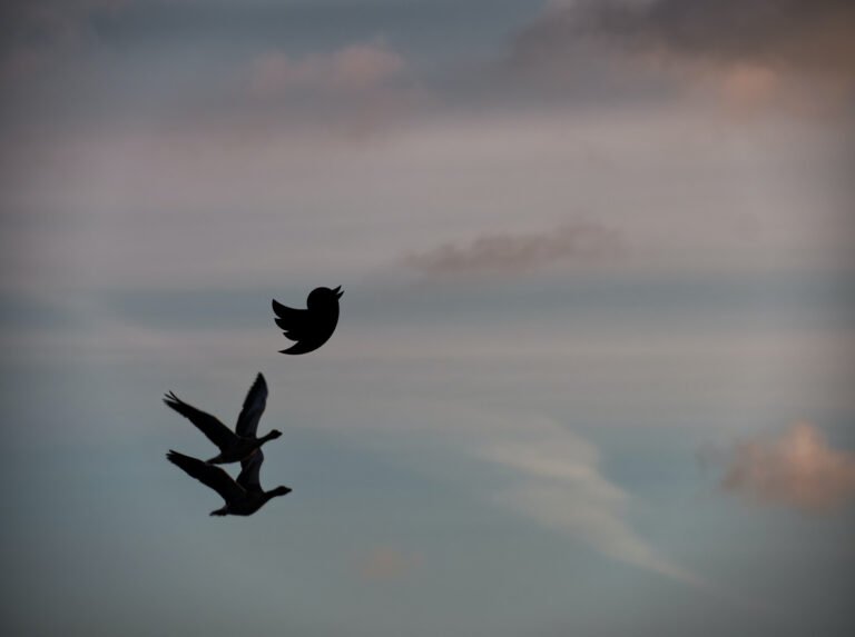 Pixelshrink @pixelshrink.bsky.social tweet media