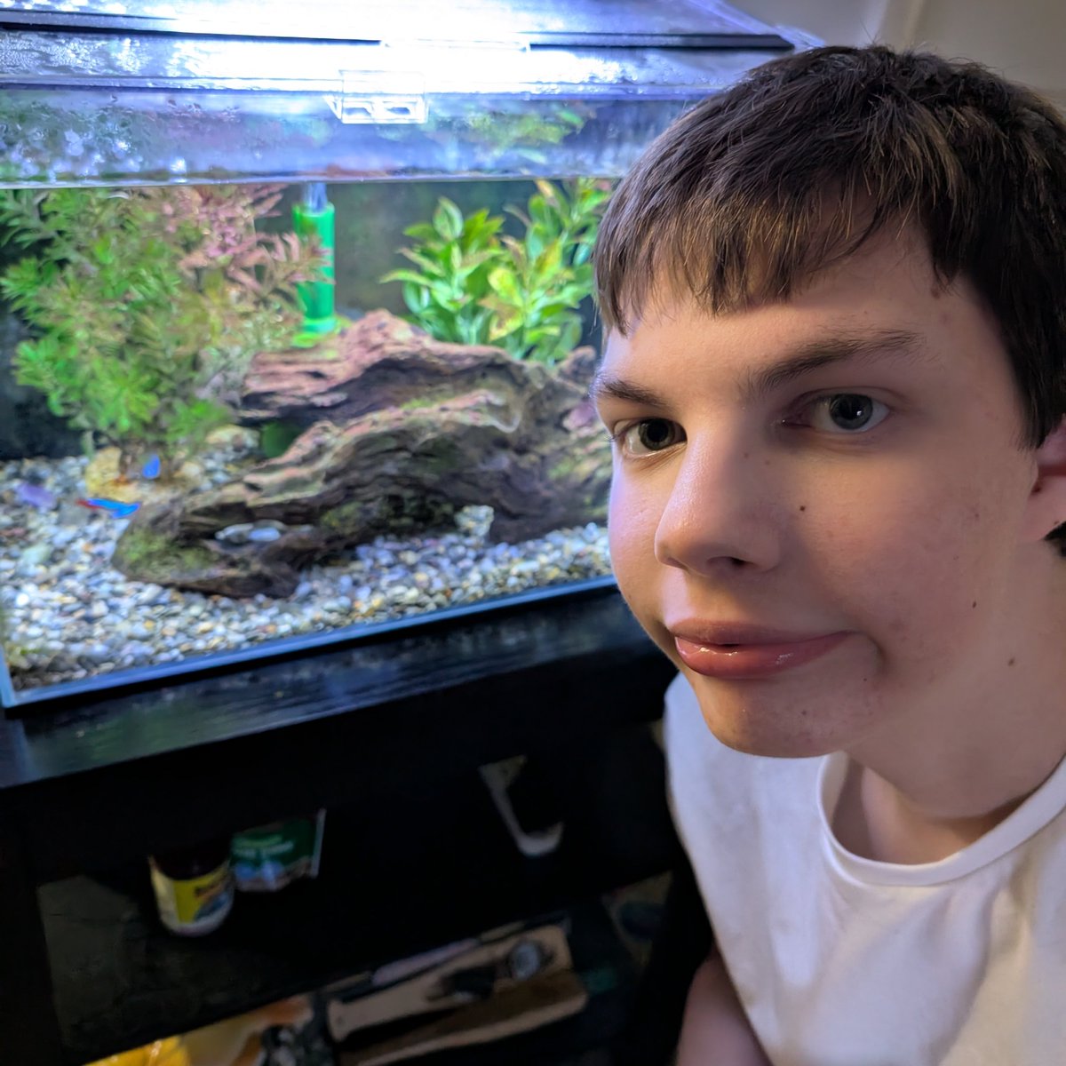 Fred enjoys the hobby of fish keeping. He feels it's far more rewarding and relaxing than having a dog. He despises the thought of picking up dog poop several times per day simply because the dog can't pinch it's loaf into a nice square box - like a vastly superior feline can do.