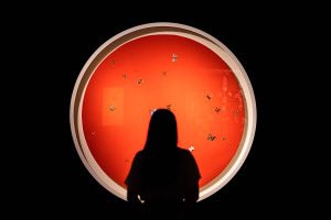 „Oto nowa waluta w świecie luksusu. Era zegarków i torebek dobiega końca” well.pl/life/148/oto_n…