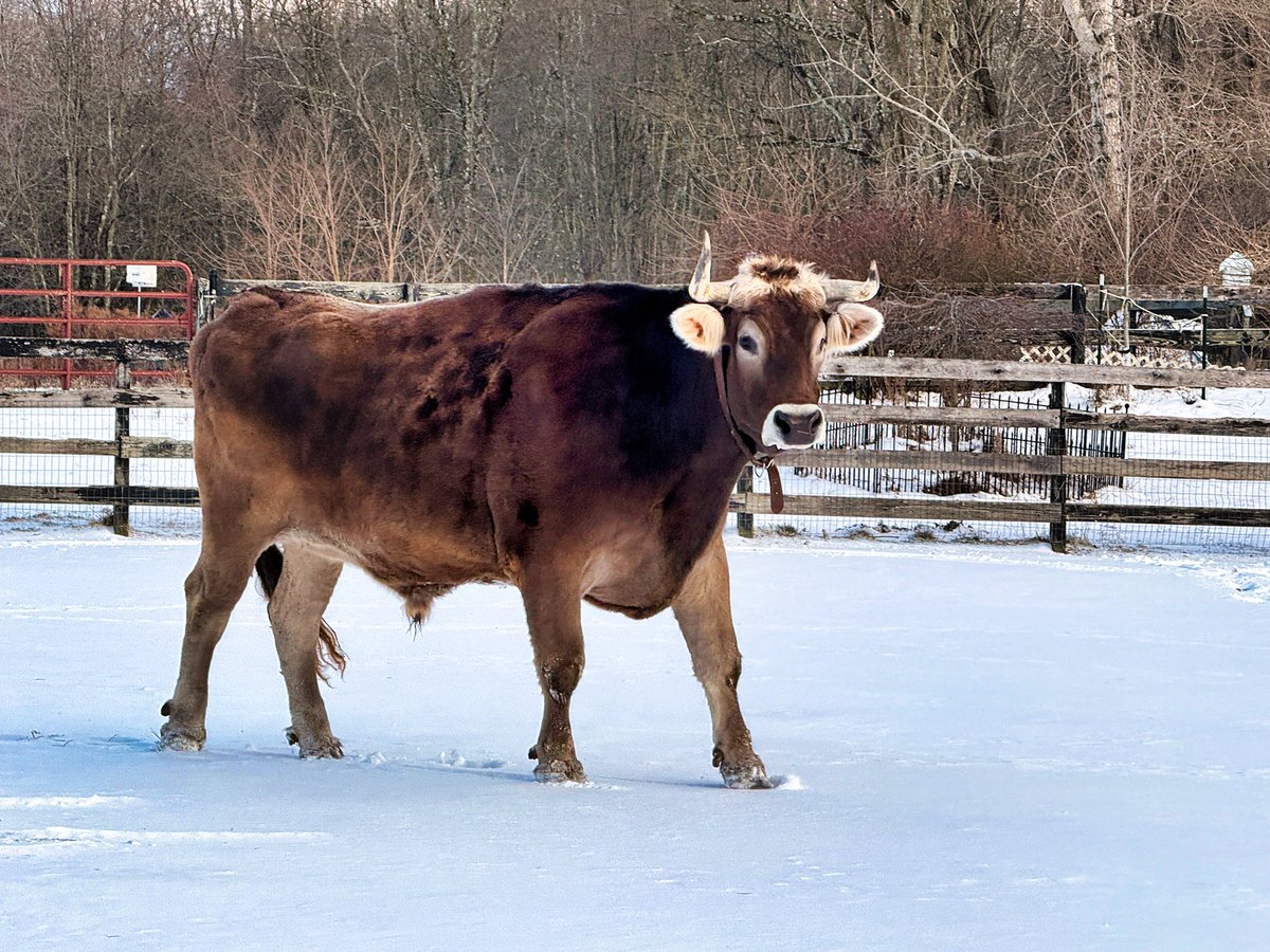 Crouton & Friends🏳️🌈🦋 tweet media