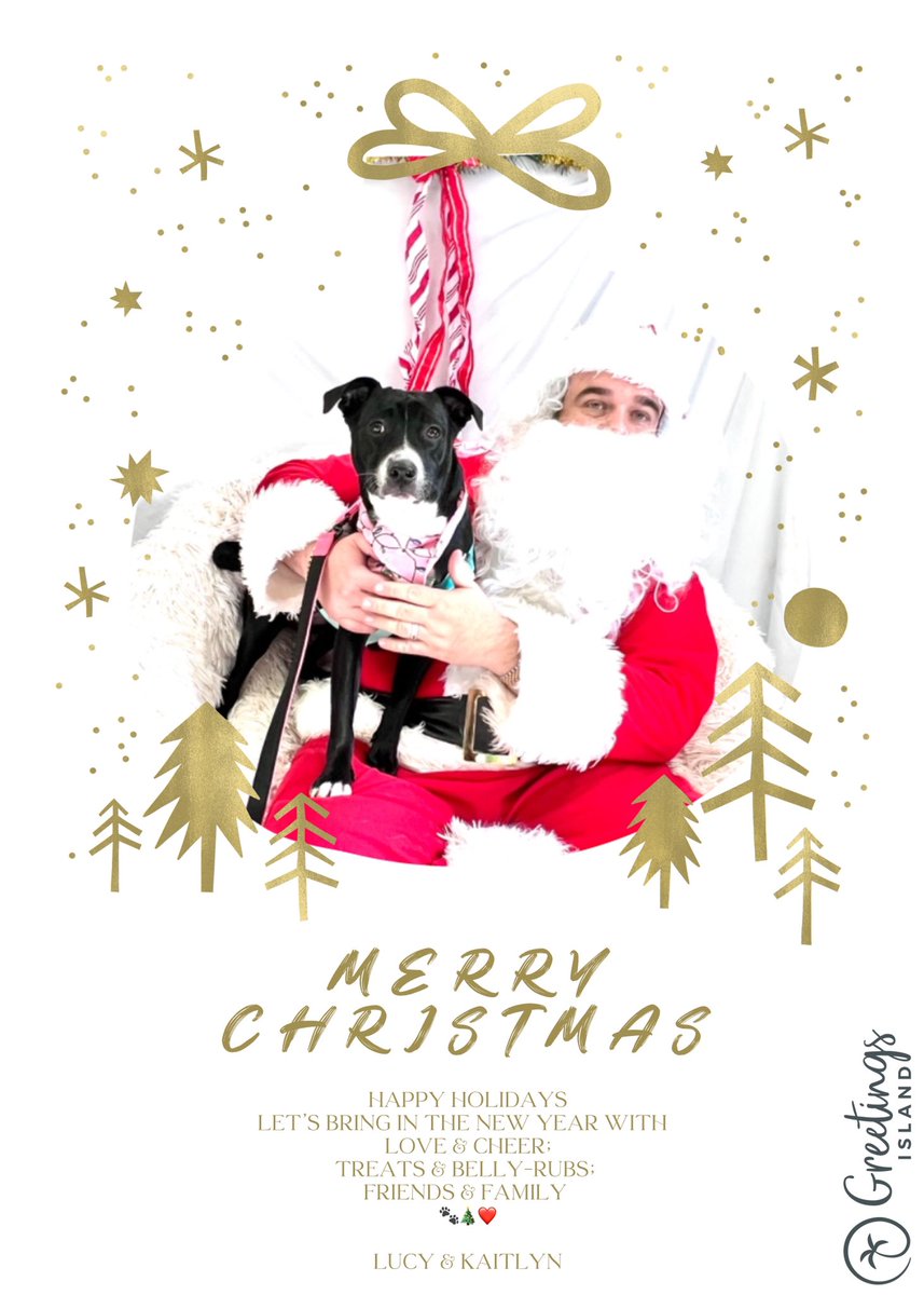 Ms. Barlow (@oceartroom) on Twitter photo Happy Holidays to all of my amazing students 🎉❤️ I’m grateful to be able to guide you through the beginning of your creative endeavors💪🏼🎨 - Lucy & I send you our best wishes for the year 2025 🐾⭐️ <a href="/OliveChapelElem/">Olive Chapel Elementary School</a> <a href="/OcePta/">Olive Chapel Elementary PTA</a> <a href="/ErinKelleyMay/">Erin May at OCE</a> <a href="/jmboyer/">Jared Boyer</a> <a href="/AshleyPCharles/">Ashley Purgason Charles</a> <a href="/ApexPSF/">Apex Public School Foundation</a> <a href="/WCPSS/">Wake County Public School System</a> Happy Holidays to all of my amazing students 🎉❤️ I’m grateful to be able to guide you through the beginning of your creative endeavors💪🏼🎨 - Lucy & I send you our best wishes for the year 2025 🐾⭐️ <a href="/OliveChapelElem/">Olive Chapel Elementary School</a> <a href="/OcePta/">Olive Chapel Elementary PTA</a> <a href="/ErinKelleyMay/">Erin May at OCE</a> <a href="/jmboyer/">Jared Boyer</a> <a href="/AshleyPCharles/">Ashley Purgason Charles</a> <a href="/ApexPSF/">Apex Public School Foundation</a> <a href="/WCPSS/">Wake County Public School System</a>