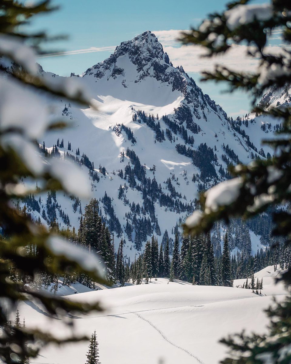 AllTrails tweet media