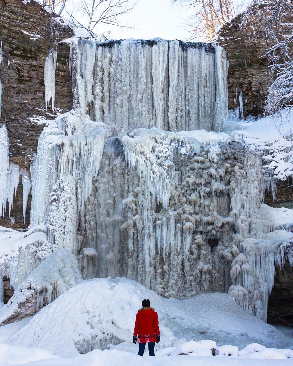 AllTrails tweet media