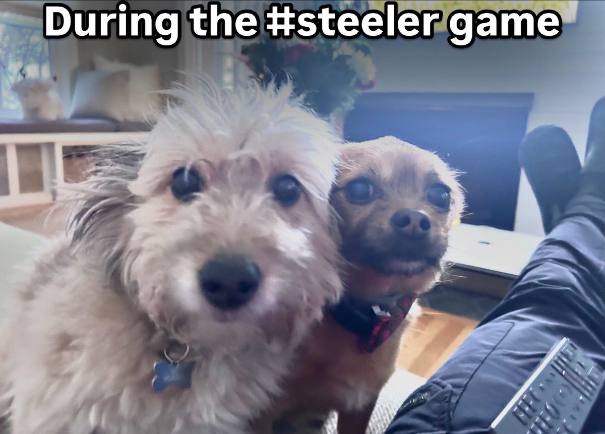 There may be some shouting…
#SteelersNation