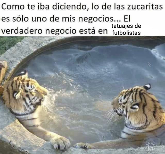 pabloeseerre's tweet photo. https://t.co/gMRIYBuPch