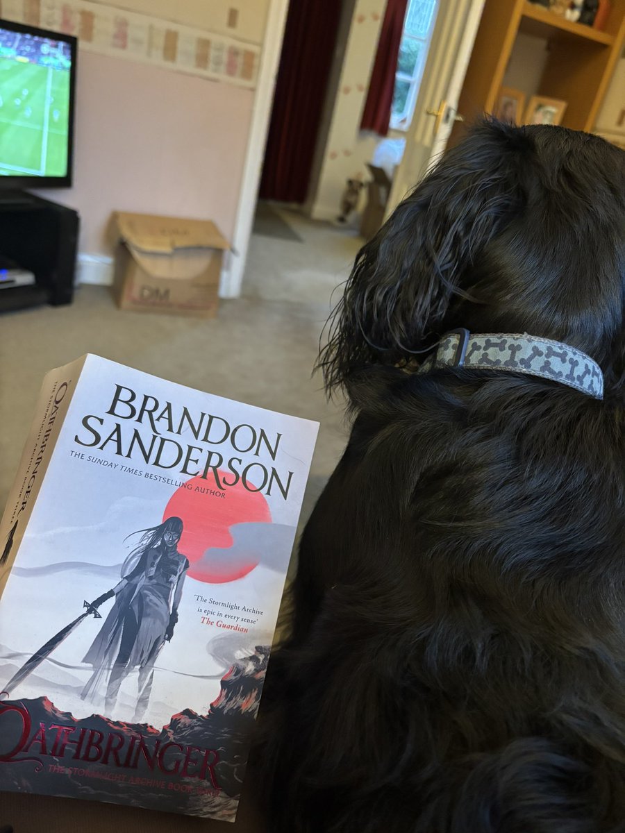 My reading buddy and my current read! #BrandonSanderson ✨