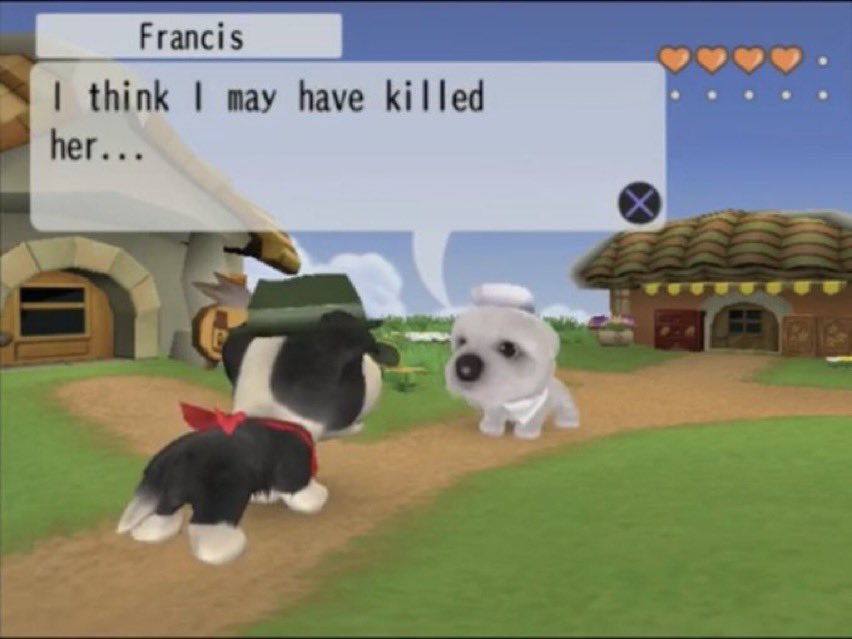 guest in my house keeps misgendering my cat