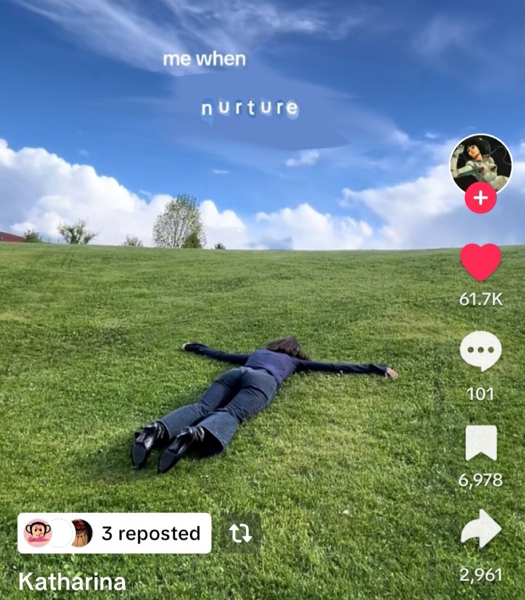 MILLIE 🌸✧ COMMS CLOSED (@plushiecore) on Twitter photo 