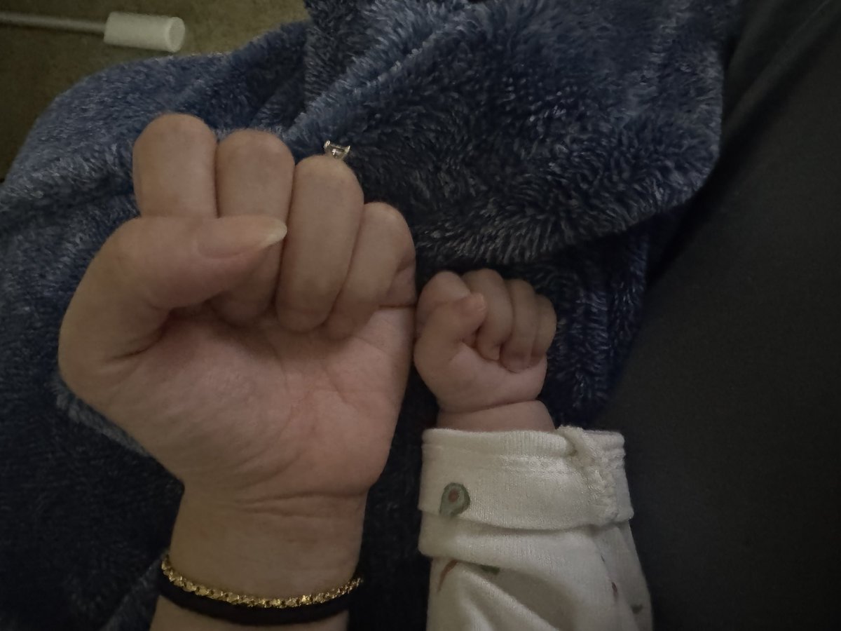 Sieng Yang ✨ tweet media