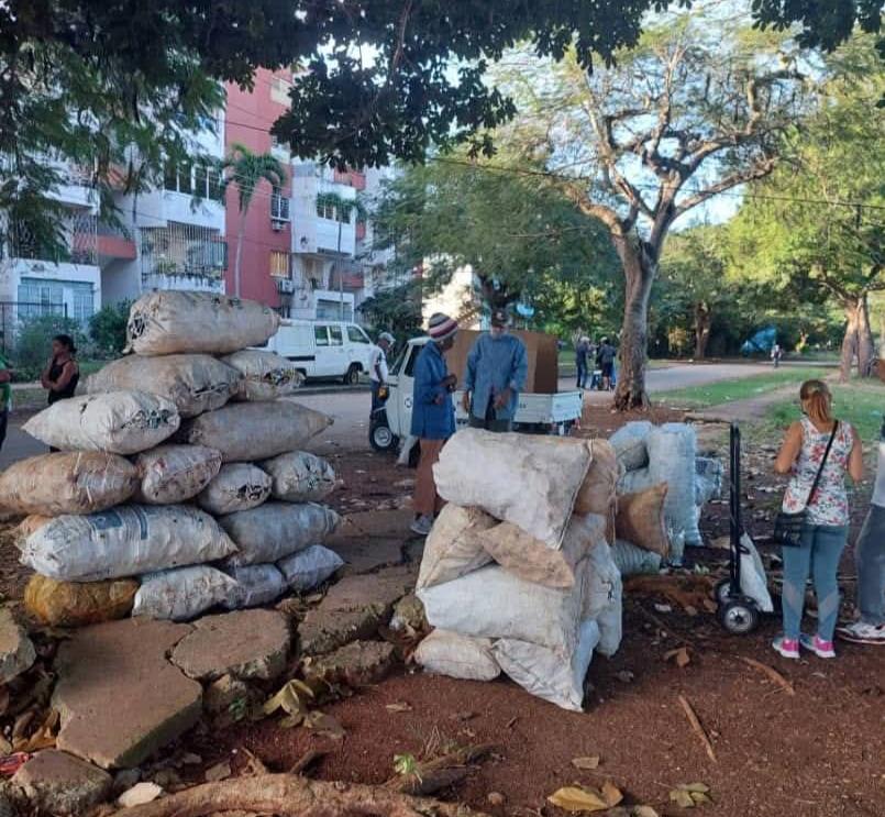 En Habana del Este, como en muchos otros municipios del país, hoy fue un sábado de reciclaje, con #GER y los #CDRCuba #Cuba #RecicloMiBarrio