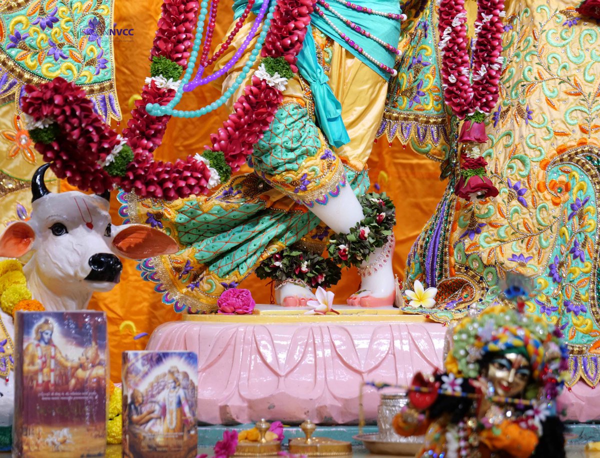 🙏🏽Today's Darshan 📿 🗓22-12-2024🙏
🌷Sri Sri Radhavrindavanchandra🌷
🚩@ISKCONNVCCPune🚩
.
.
#ISKCONNVCC #ISKCONPune #ISKCONNVCCPune #ISKCON
#22nddecember #22nddecember2024 #Sunday
#Harinaamsankirtan #Radheshyamdas #Radheradhe
#Sankirtan #Kirtan #Vrindavan #Mayapur #Prabhupada