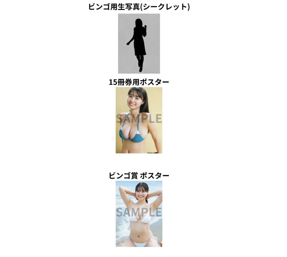 新品 豊島心桜 初サイン会 特典 幻の表紙 ポスター B2 サイズ