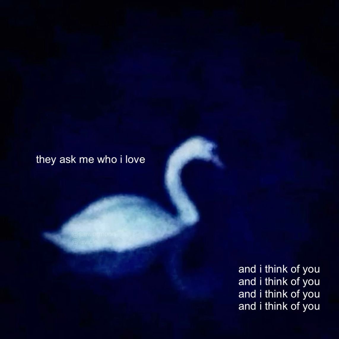 astralbaes's tweet photo. https://t.co/b9j2CNkO6n