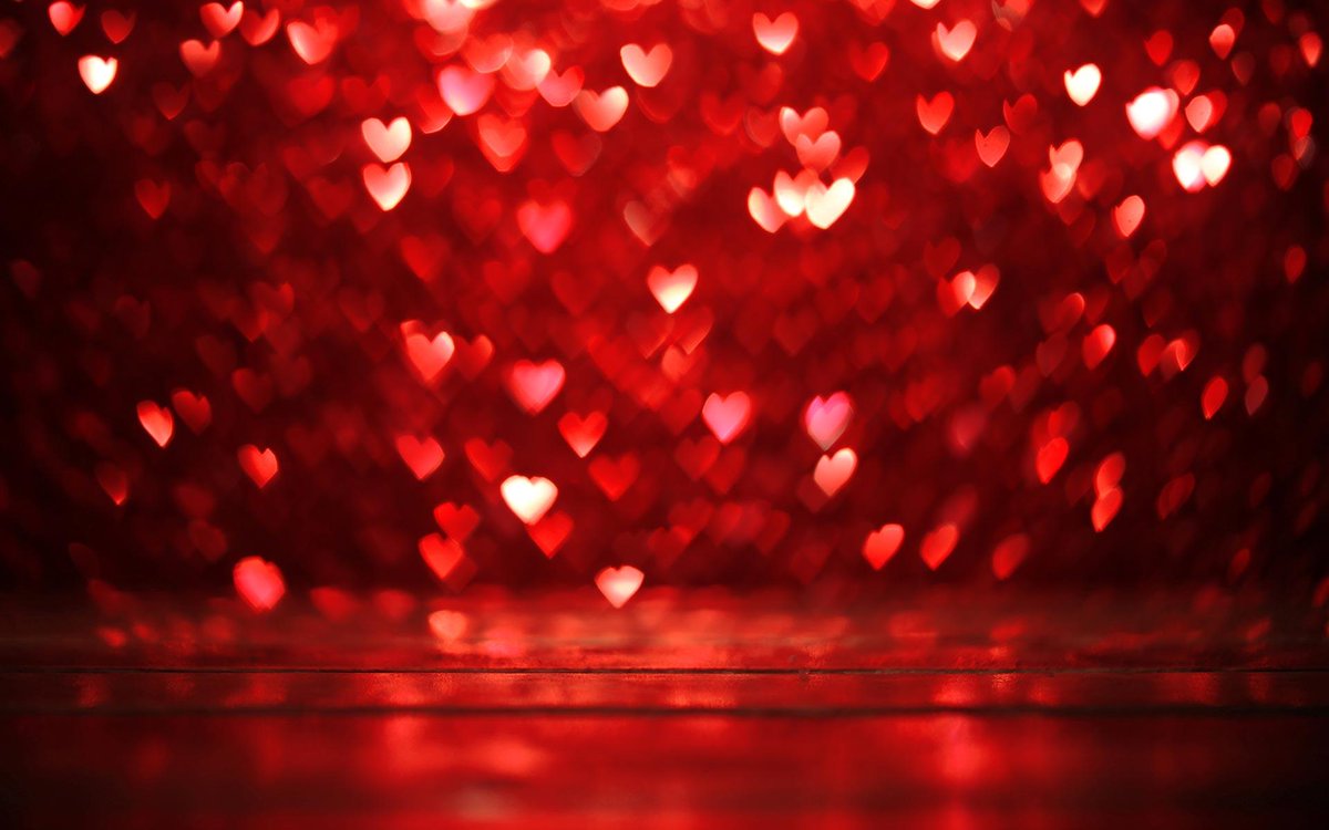 AnimalWorldUSA's tweet image. MerROO Christmas from our hearts to yours. 

&quot;Freedom is all we wanted from Santa. You made it possible for all of us at #BeagleFreedomProject.&quot;

Love, Roo and the #beagles.