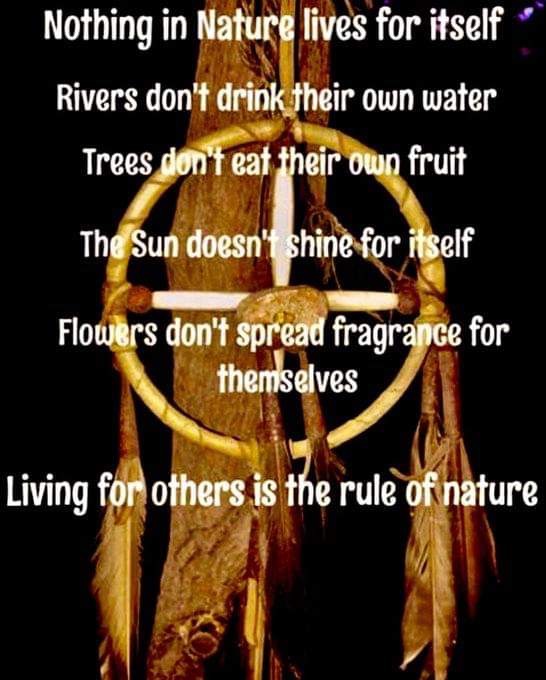 joiningme's tweet photo. We ARE nature. https://t.co/7MMn8Grf11