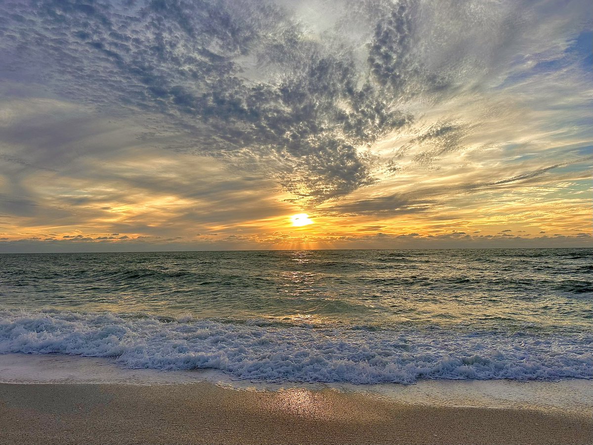 Mira🌺 tweet media