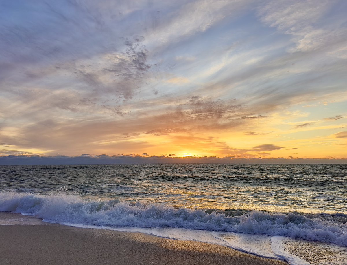 Mira🌺 tweet media