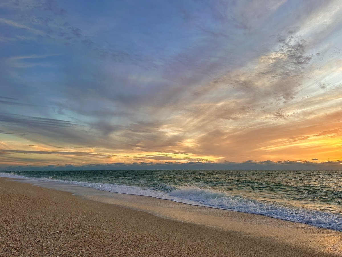 Mira🌺 tweet media