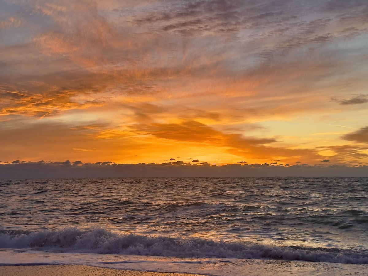 Mira🌺 tweet media