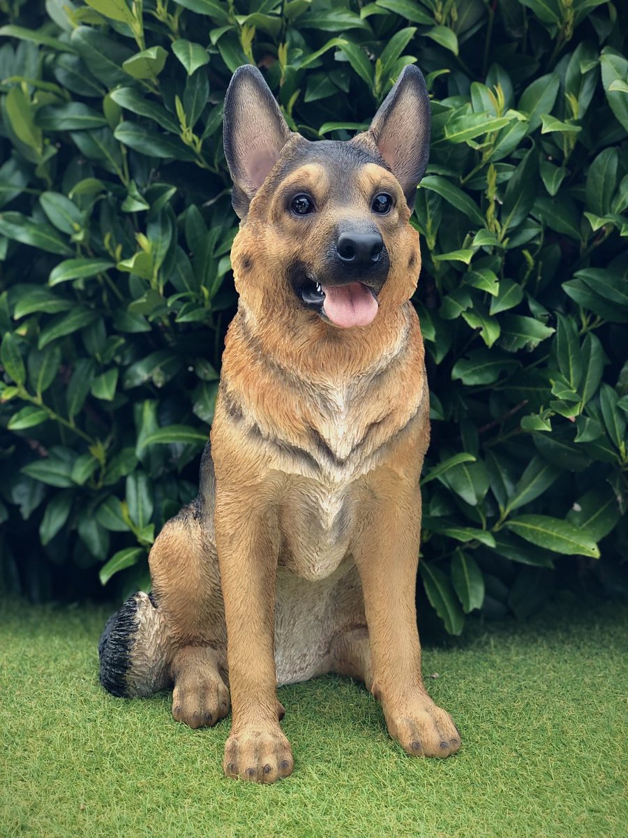 AutismeStorm's tweet photo. Welke #Duitse #herder is volgens jullie #echt? 🫣🫣🫣

🐕🐕🐕

#hond #dier #huisdier #hout #snijwerk #kopie #cloon #vriend #maatje https://t.co/Hk6YLto6oE