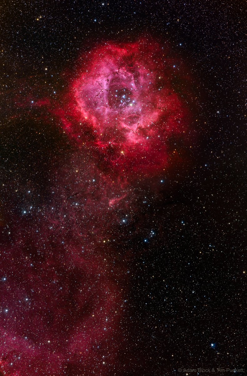 uhd2020's tweet photo. Rosette Nebula🌹 https://t.co/cMUDn07HP5