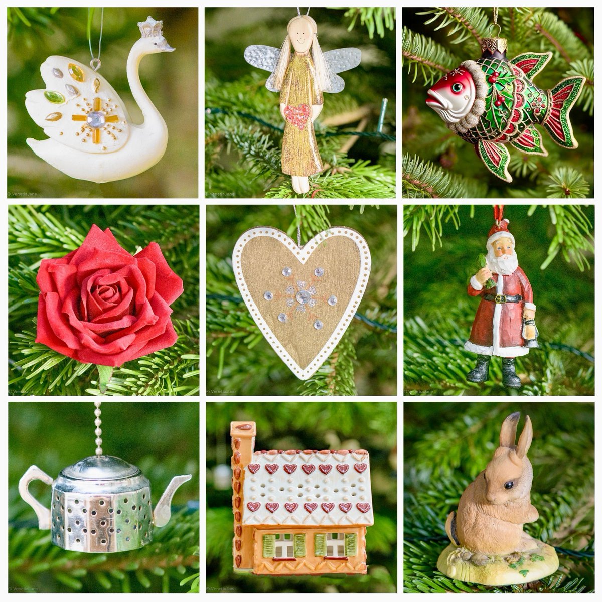 VenetiaJane's Garden tweet media